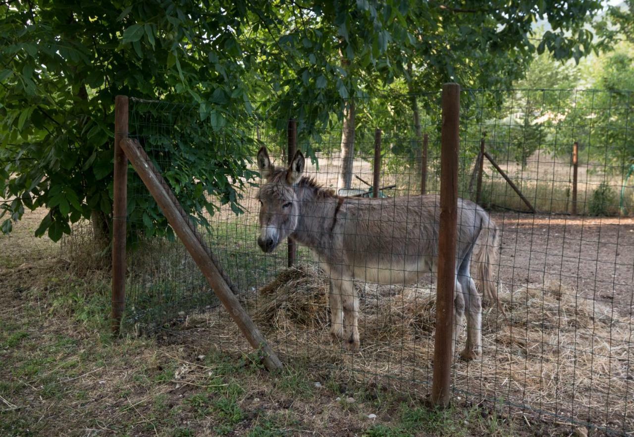 Agriturismo Il Giardino Dei Ciliegi Villa Passaggio di Assisi Buitenkant foto