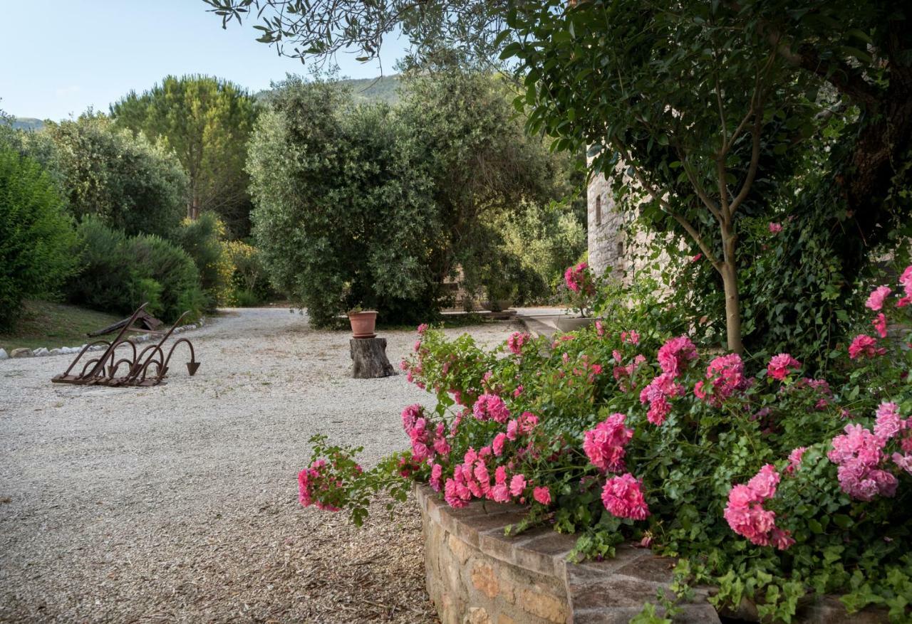 Agriturismo Il Giardino Dei Ciliegi Villa Passaggio di Assisi Buitenkant foto